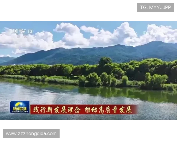 杨姓企业家引领科技创新潮流助推中国高质量经济发展新格局